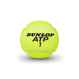 Tennis balls DUNLOP ATP CHAMPIONSHIP Entry 4-tube ITF