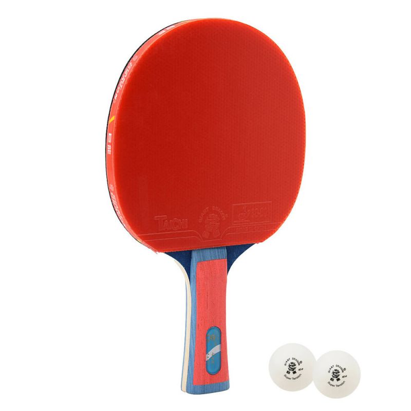 Giant Dragon 4★ N804 Table Tennis Racket