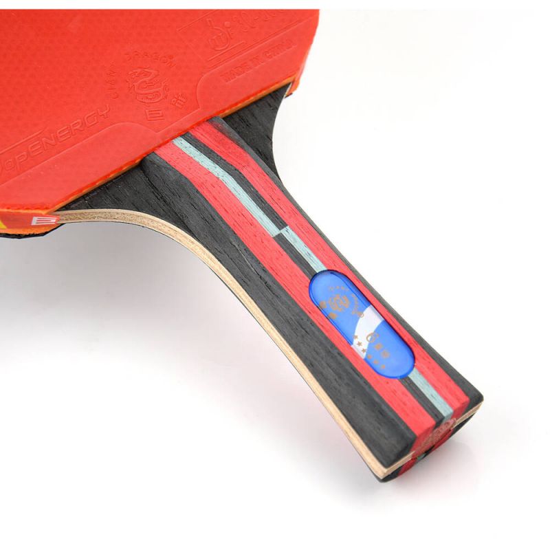 Giant Dragon 6★ N8061 Table Tennis Racket