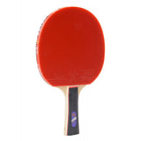 Giant Dragon 3★ N8032 Table Tennis Racket