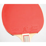 Giant Dragon 3★ N8031 Table Tennis Racket