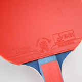 Giant Dragon 4★ N804 Table Tennis Racket