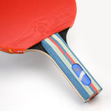 Giant Dragon 6★ N8062 Table Tennis Racket