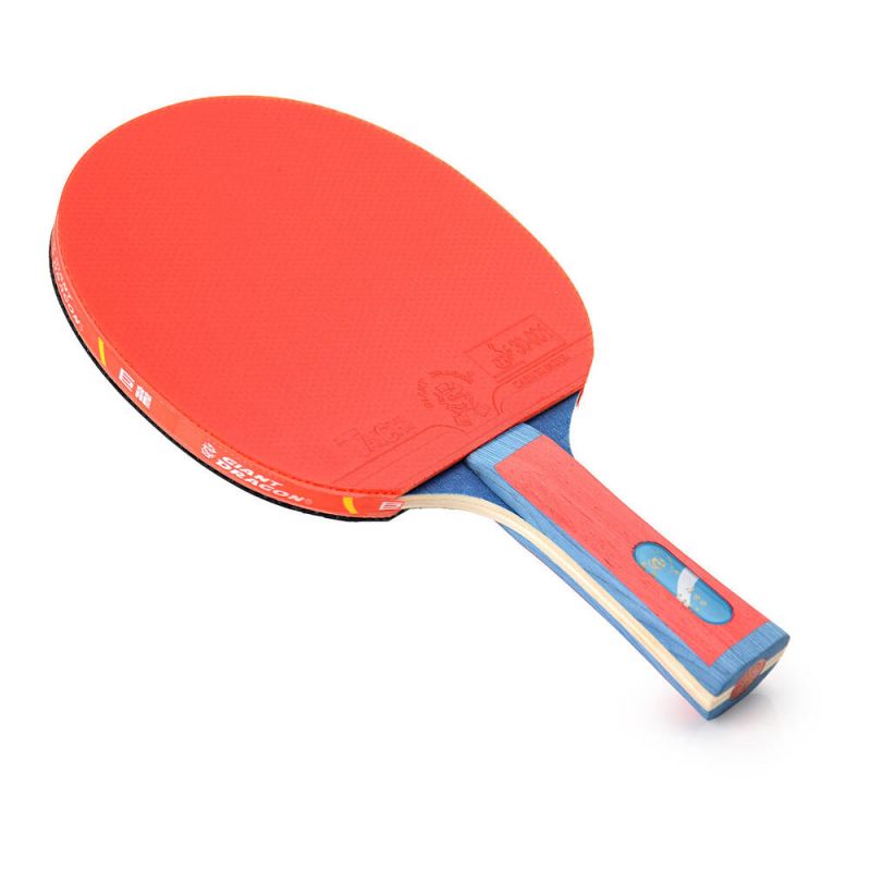 Giant Dragon 4★ N804 Table Tennis Racket