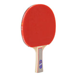 Giant Dragon 3★ N8031 Table Tennis Racket