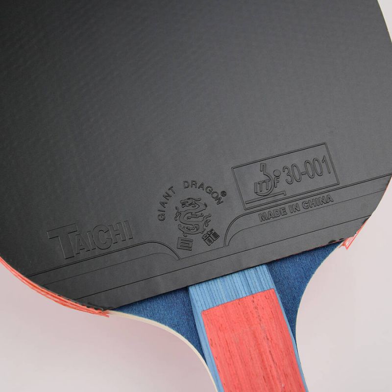 Giant Dragon 4★ N804 Table Tennis Racket