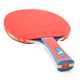 Giant Dragon 4★ N804 Table Tennis Racket