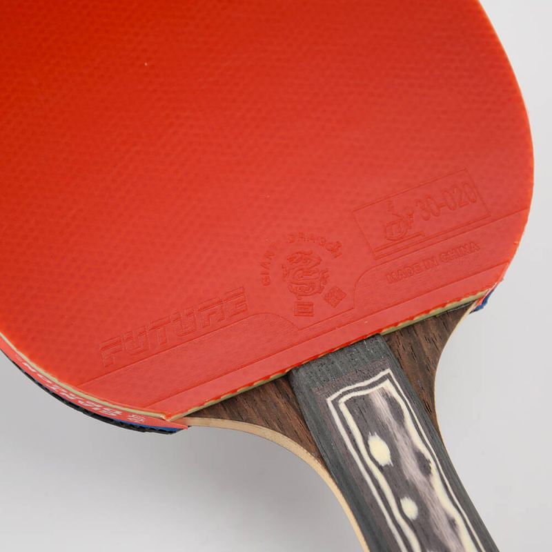 Giant Dragon 9★ N8091 Table Tennis Racket