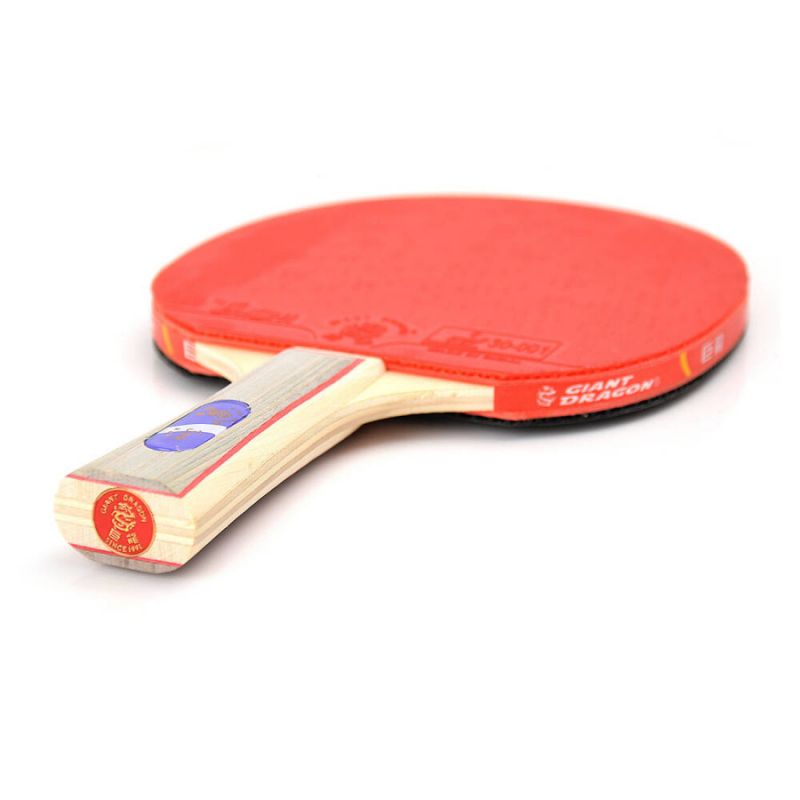 Giant Dragon 3★ N8031 Table Tennis Racket