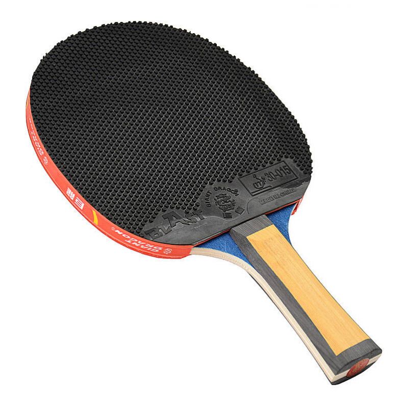 Giant Dragon 4★ N804 Table Tennis Racket