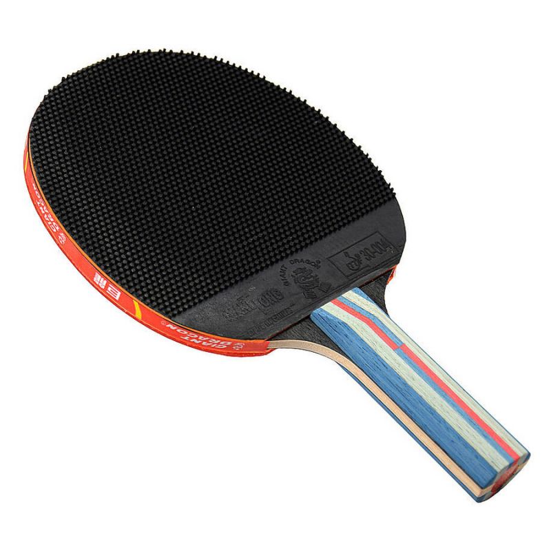 Giant Dragon 6★ N8062 Table Tennis Racket