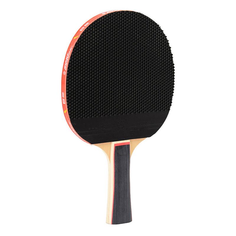 Giant Dragon 3★ N8032 Table Tennis Racket