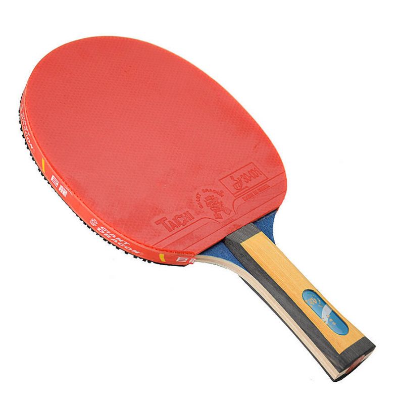 Giant Dragon 4★ N804 Table Tennis Racket