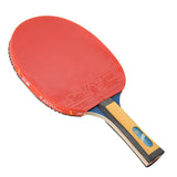 Giant Dragon 4★ N804 Table Tennis Racket