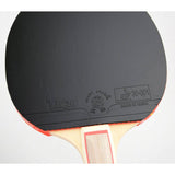 Giant Dragon 3★ N8031 Table Tennis Racket