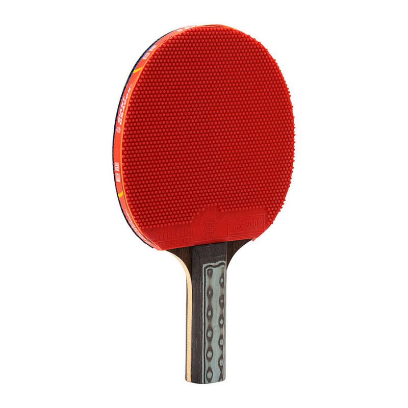 Giant Dragon 9★ N8092 Table Tennis Racket