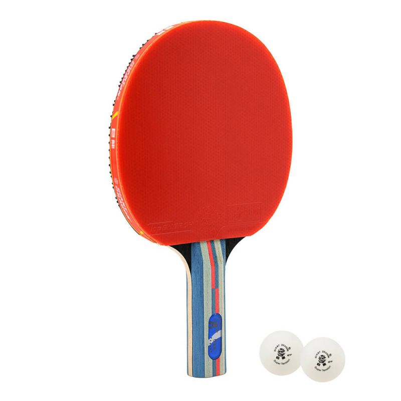 Giant Dragon 6★ N8062 Table Tennis Racket