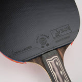 Giant Dragon 9★ N8091 Table Tennis Racket