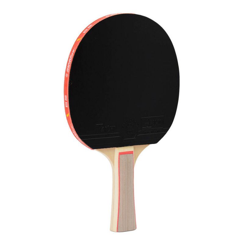 Giant Dragon 3★ N8031 Table Tennis Racket