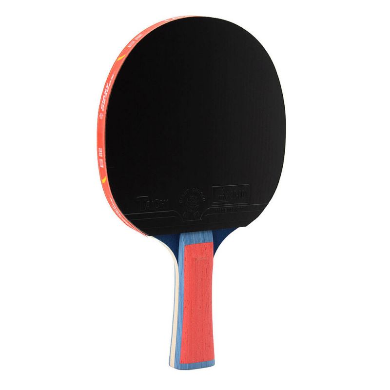 Giant Dragon 4★ N804 Table Tennis Racket