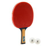 Giant Dragon 4★ N804 Table Tennis Racket