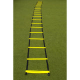 Training ladder Agl-FF09M 9m HS-TNK-000008442