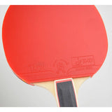 Giant Dragon 3★ N8032 Table Tennis Racket