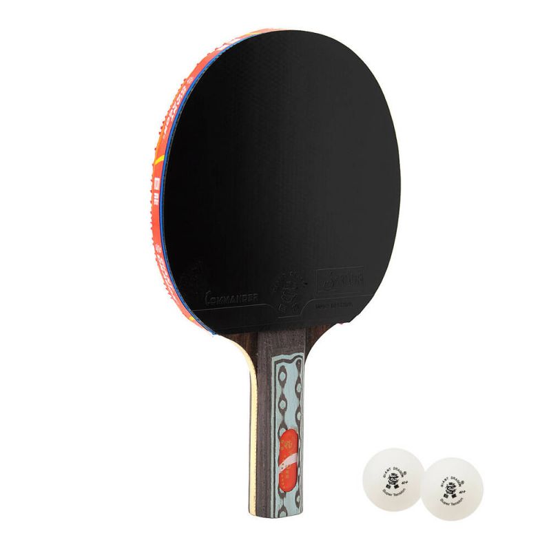 Giant Dragon 9★ N8092 Table Tennis Racket