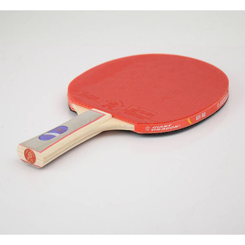 Giant Dragon 3★ N8031 Table Tennis Racket