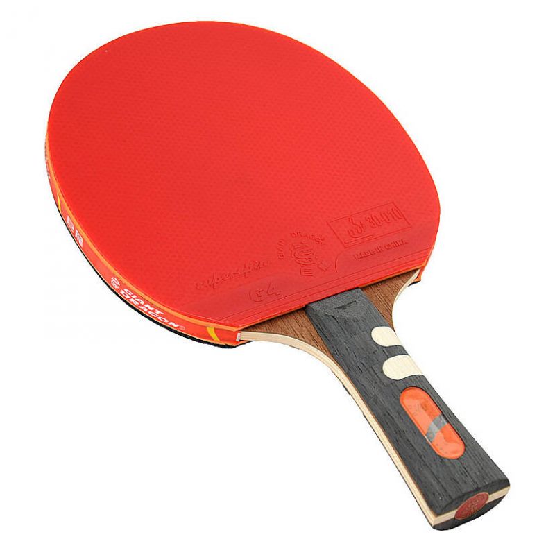 Giant Dragon 7★ N8071 Table Tennis Racket