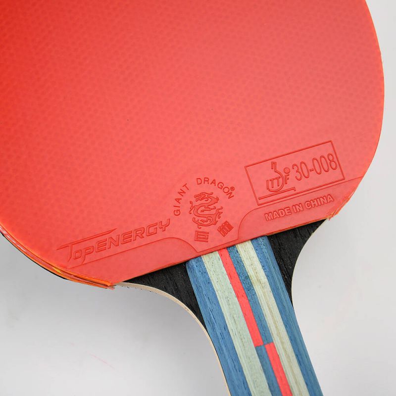 Giant Dragon 6★ N8062 Table Tennis Racket