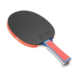 Giant Dragon 4★ N804 Table Tennis Racket