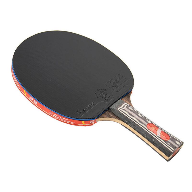 Giant Dragon 9★ N8091 Table Tennis Racket