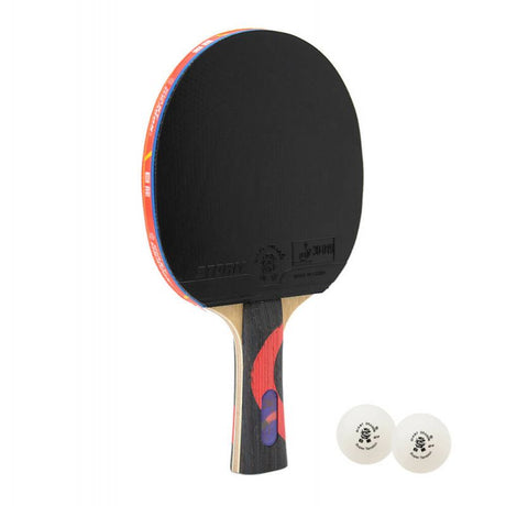 Giant Dragon 8★ N8081 Table Tennis Racket