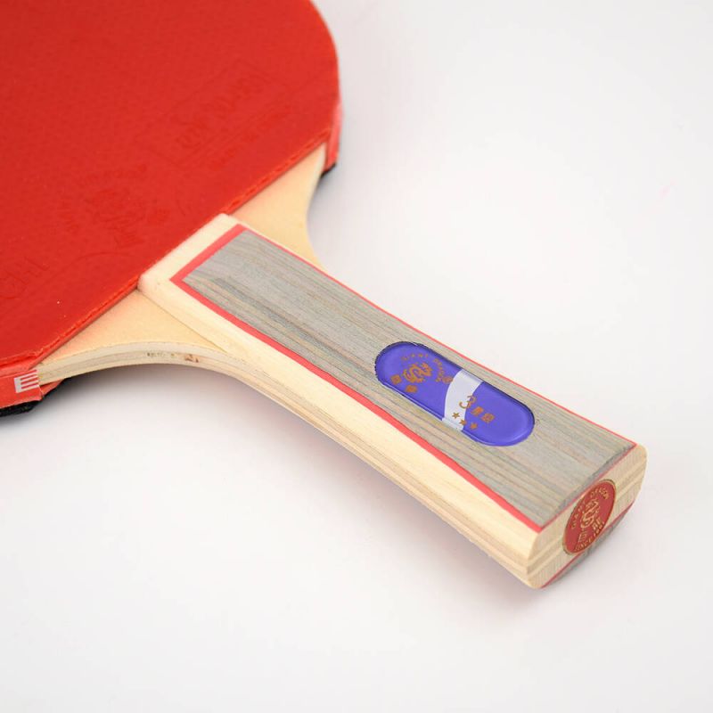 Giant Dragon 3★ N8031 Table Tennis Racket